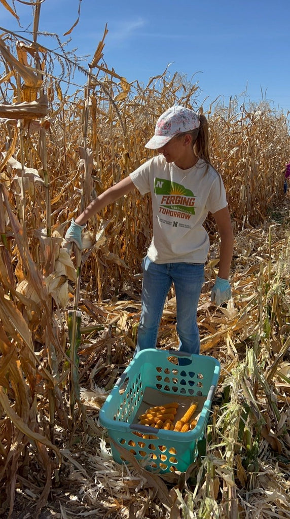 Pop-Off-The-Cob Popcorn by Free Day Popcorn of Byron, NE