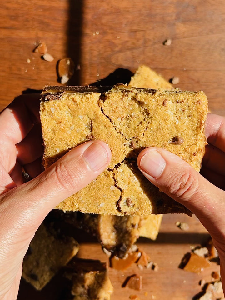The Monster 1/2 LB Salted Caramel Brookie Bar - The Chocolate Season